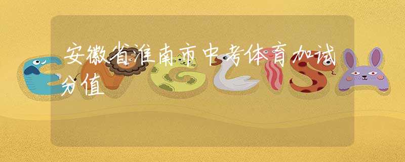 安徽省淮南市中考體育加試分值