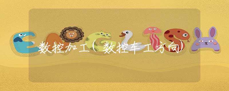 數(shù)控加工(數(shù)控車工方向)